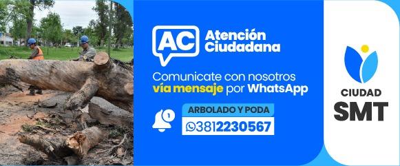 arbolado y poda