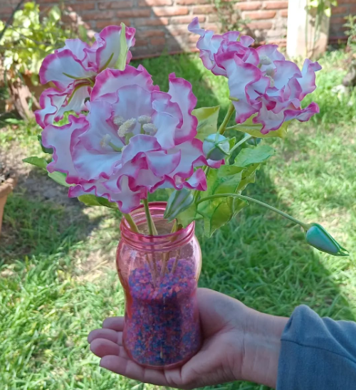 Imagen de PLANTAS