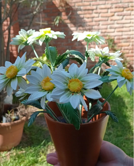Imagen de PLANTAS